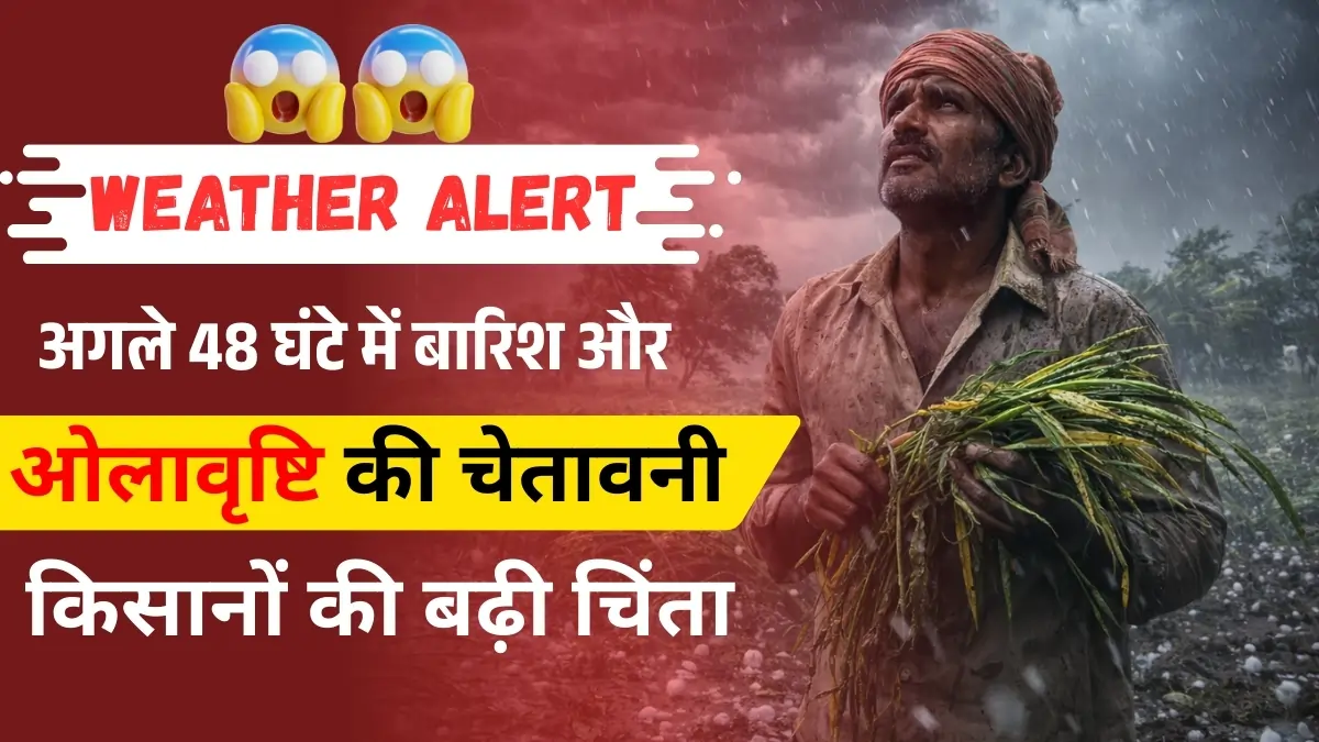 Weather Alert